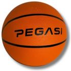 Pegasi basketbal maat 5 