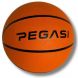 Pegasi basketbal maat 5 