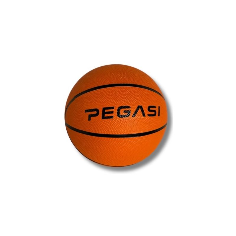 Pegasi basketbal maat 5 