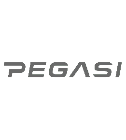 Pegasi sport en spel