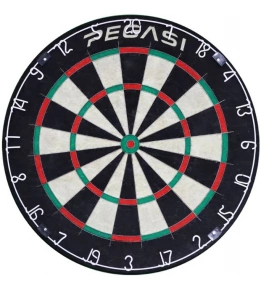 Dartbord 